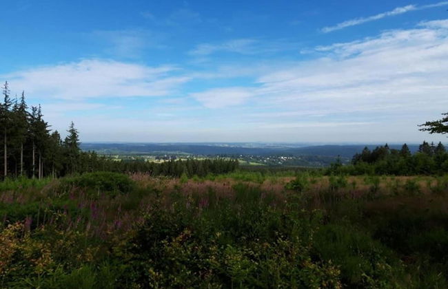 Scenic Cottage in Rahier - Photo 33