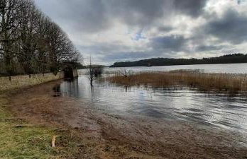 Holllie View - Foto 12