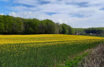 Ferienwohnung Wikingerland - Foto 50