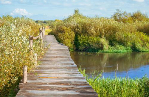 Arche Siedlisko Gorodczyno - Foto 10