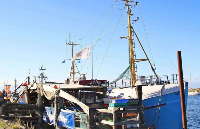 Holiday Home in Wendtorf - Foto 7