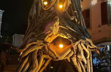 Une escale face au lac Léman - Photo 18