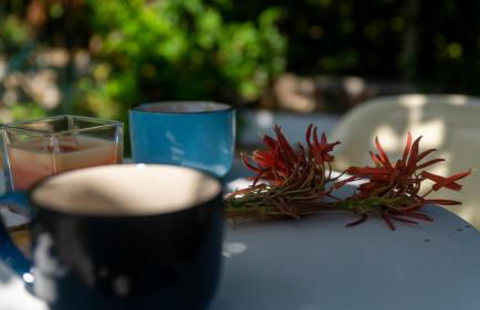 La Casa di Elisabetta - Foto 39