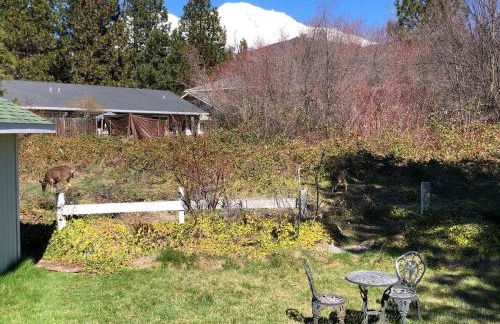 Historic HM, Mountain Views, Hot Tub, Steam Room - Foto 46