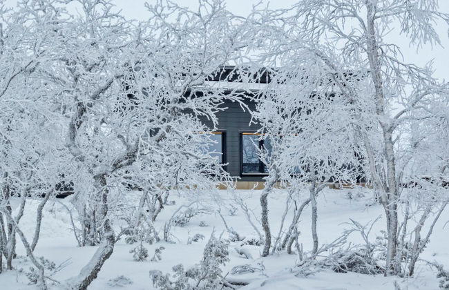 Villa viima - Foto 24