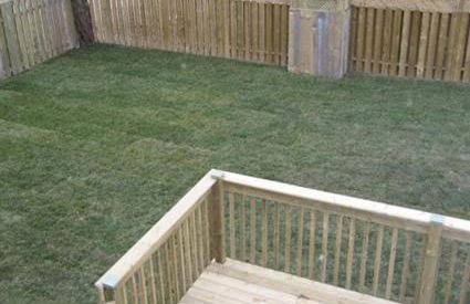 JACKSON HIDEAWAY - Foto 15