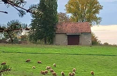 Ferienwohnung in Treysa - Foto 13