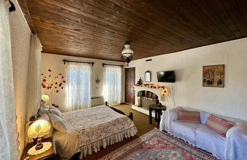 ΤΟ ΑΡΧΟΝΤΙΚΟ - Photo 25