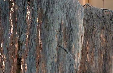 Czarna Góra Apartament 319 - Foto 21