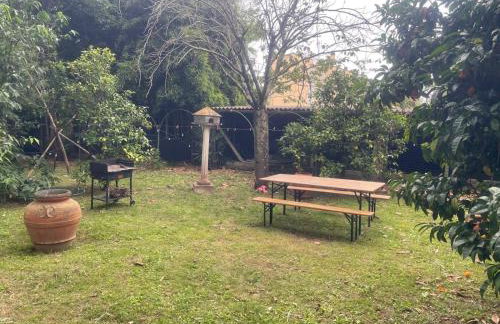 Il Piccolino - Photo 28