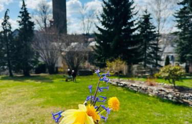5 Sterne Ferienwohnung Schlossplatz - Sachsen Vogtland Erzgebirge 6 Personen 3 SZ Sauna Kamin - Foto 38