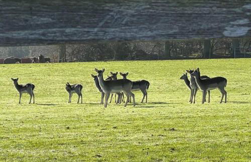 Arniss Farmhouse - Photo 34