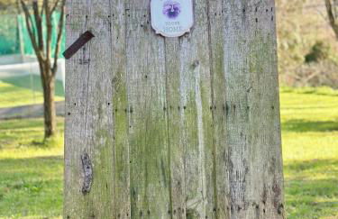 Casa da nascente douro - Foto 39