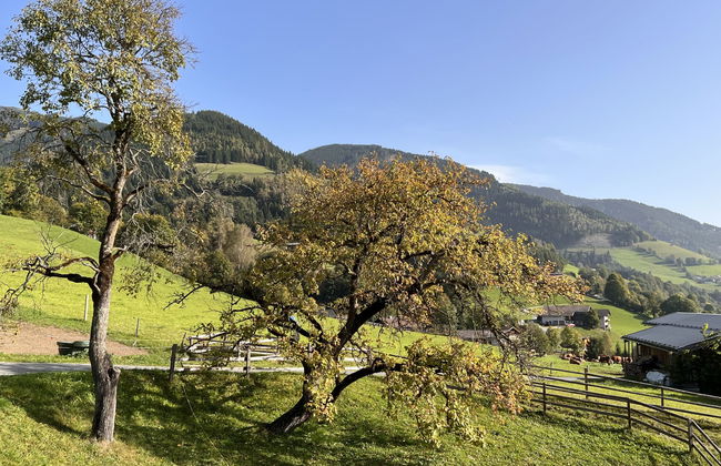 Bauernhof Gasteg (L) - Foto 11