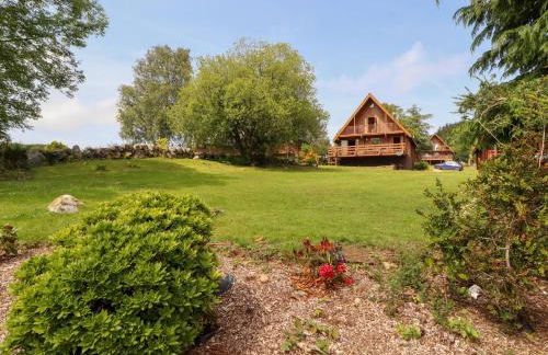 Thistle Dubh "Doo" - Foto 33