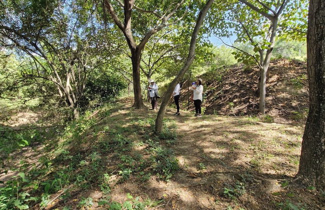 FINCA ECOTURISTICA LOS JAGUEYES - Foto 24