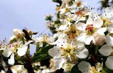 Polidoros house - Foto 29