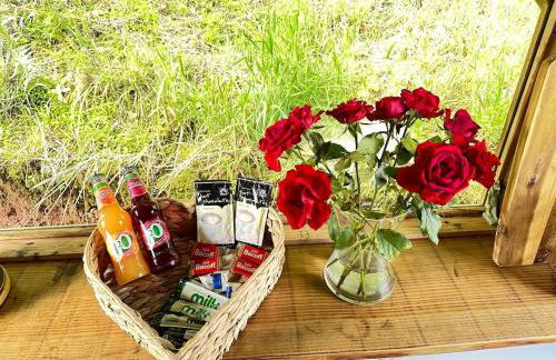 Sauna, Hot Tub & Cold Plunge Pyramid Escape - Foto 25