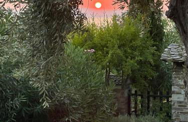 Olive Grove House - Foto 59