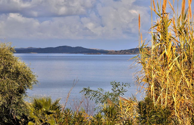 Villa Rosè - Foto 32