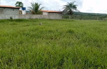 Chacara Suíça sergipana - Photo 1