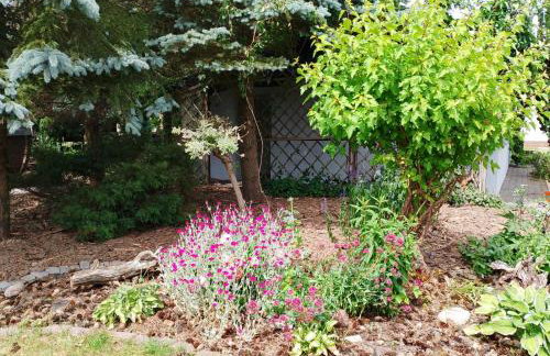 Mała Tyczkówka - Photo 3