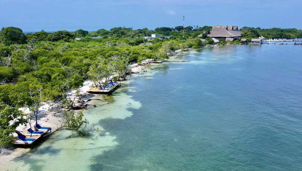 Palme e acque cristalline su Isla Palma