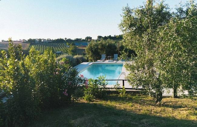 A3Passi Agriturismo tra gli Ulivi - Photo 56