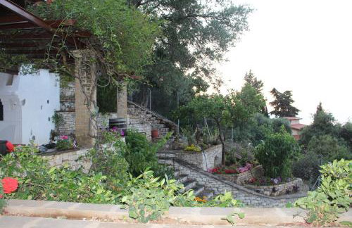 Aris Studio Corfu - Foto 12