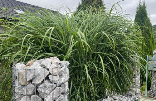 Unter den Wolken - Foto 66