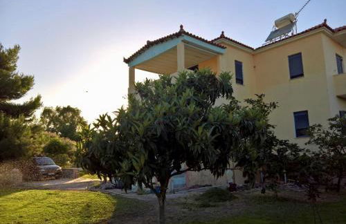Villa Marita - Photo 24