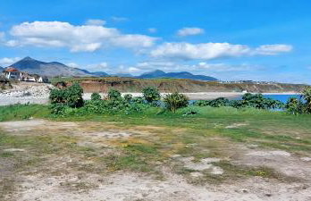 The Beach House - Photo 25