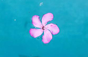 Okira beach house - Foto 40