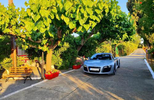 CottonClub Villas - Foto 8