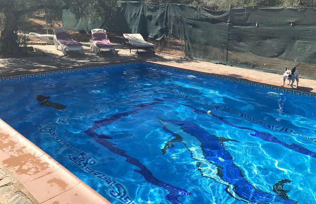 La Casita De Lola - Photo 22