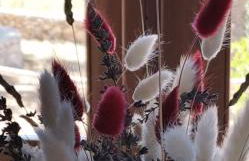 Coralina Cottage - Foto 12