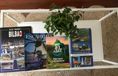 FIKA FLAT Casco Viejo PARKING 20 euro x día - Foto 7