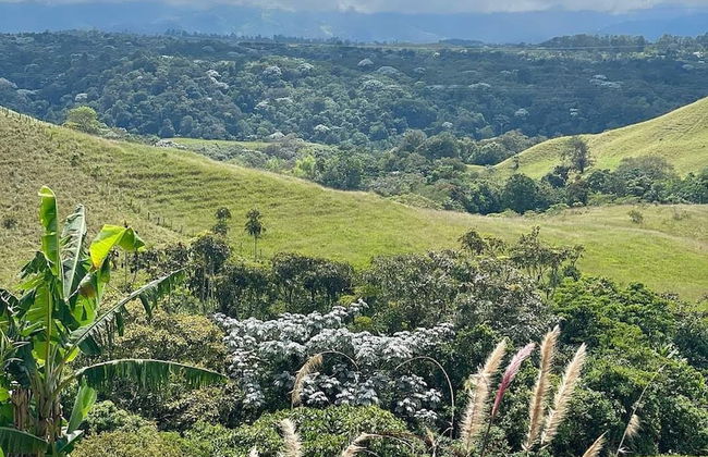 Nalú Hammam Thalassoterapia - Foto 35