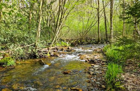 Appartement Vue Sur La Meuse - Foto 20
