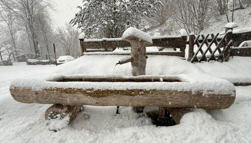 Haus am Wald -FeWo - Foto 2