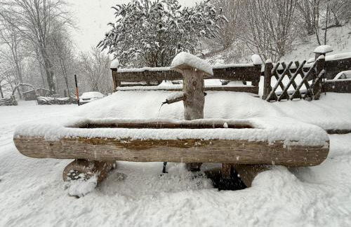 Haus am Wald -FeWo - Foto 2