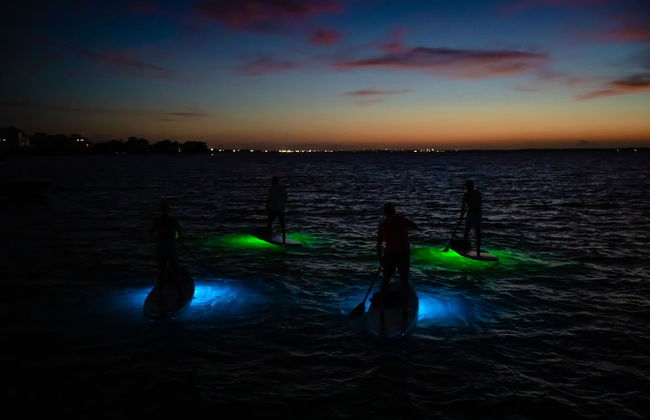 Portofino Island Resort - Foto 74