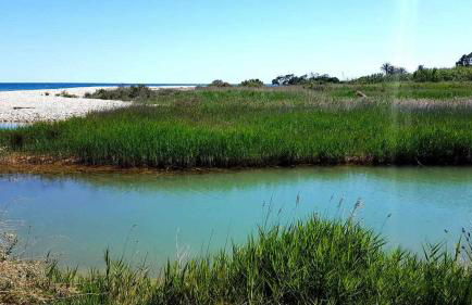 Apartamentos Cap y Corp - Foto 14