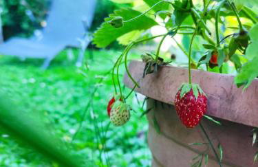 Grandma's apartment - Photo 46