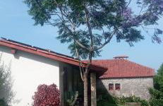 Quinta Souto Chão - Photo 37