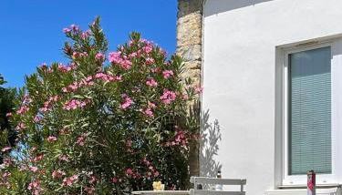 Les Lauriers N°3 - Soleil et repos - Foto 4