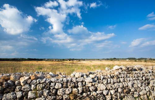 Corte degli Allori - Salento - Foto 20