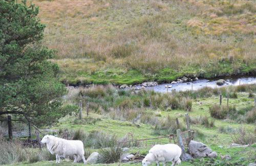 Llechwedd Mawr - Photo 13