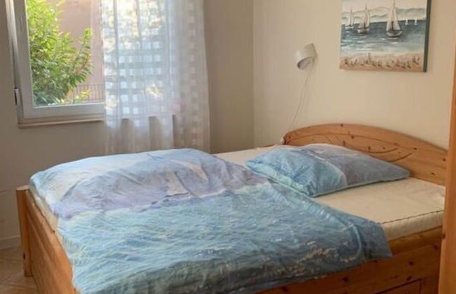 Wood in Zempin/usedom - Foto 5