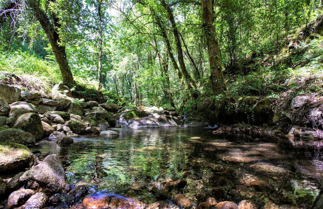 Moinho da Varzea Mill House & Hot Tub - Foto 24